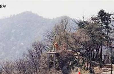 　毛澤東祖墳所在地——虎歇坪