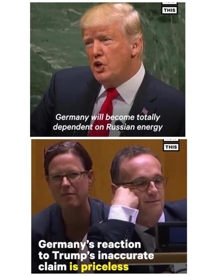 278205543_557125862644942_6253895593244012781_n (1).jpg